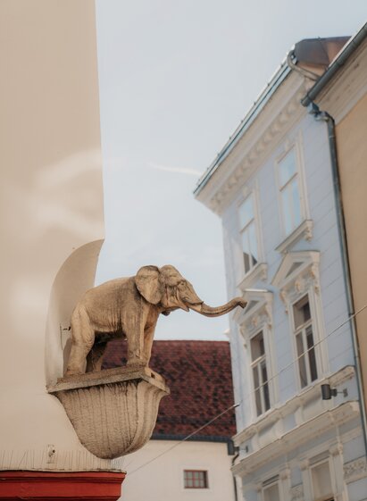 small elephant at Franziskanerplatz Graz