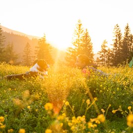 Eine Frau beim Wandern mit ihrem Hund: kurze Pause in einer Blumenwiese