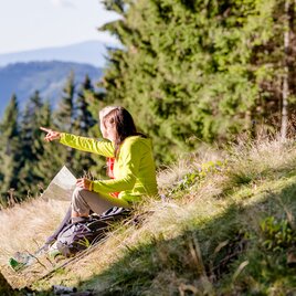 Wanderpause