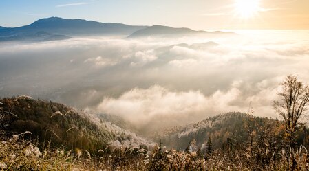 Schartnerkogel | © TV Region Graz | Mias Photoart