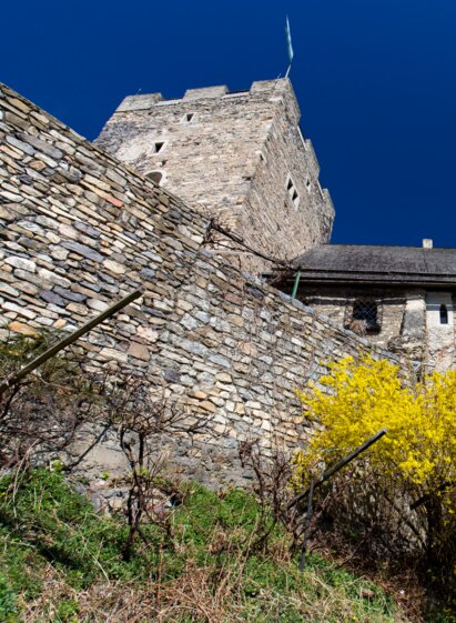 Burgruine Gösting