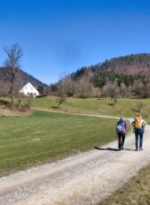 Zwei Personen wandern am Laas Rundweg bei Frohnleiten durch Wiesen mit Blick auf bewaldete Hügel.