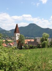Blick über Wiesen auf Adriach bei Frohnleiten mit Kirche und bewaldeten Hügeln im Hintergrund.
