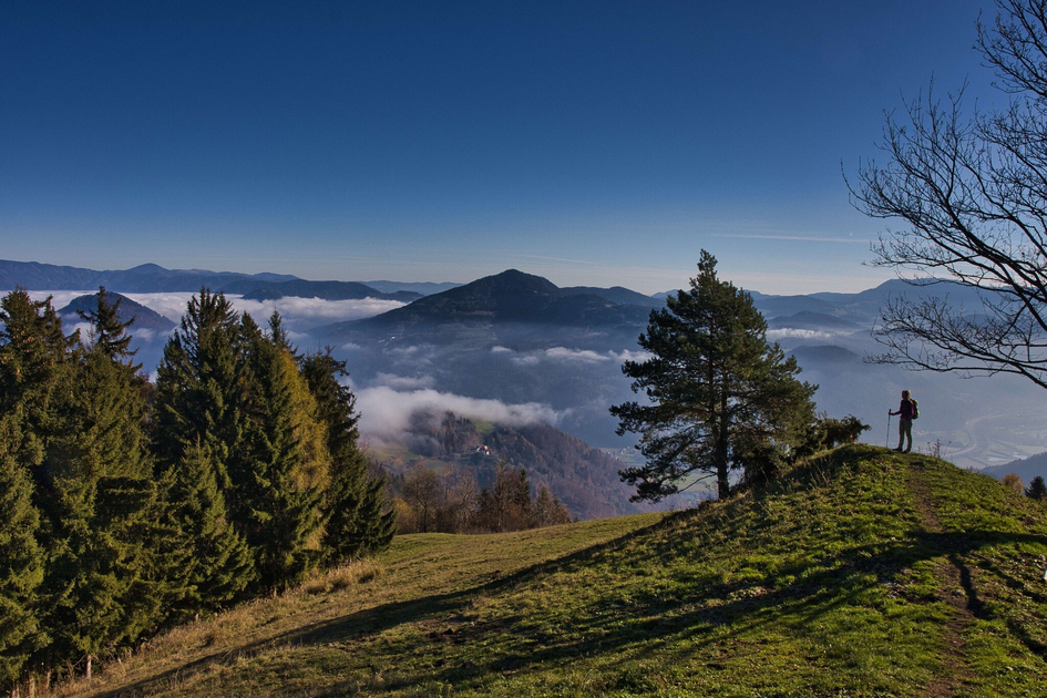 Weitblick vom Haneggkogel über das Grazer Bergland | © WEGES