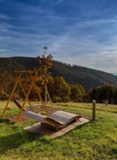Rastplatz mit Holzliegen und Schaukel am Naturerlebnisweg in Weinitzen mit weitem Blick über die Hügellandschaft.
