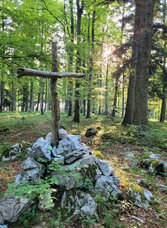 Schlichtes Gipfelkreuz auf felsigem Untergrund am Hohenberg, umgeben von dichtem Wald und warmem Sonnenlicht.