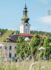 Blick auf den Kirchturm von Stift Rein in Gratwein-Straßengel mit Wiese und Bäumen im Vordergrund.