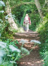 Wanderin am Alpenbockweg auf einem schmalen Waldpfad, umgeben von dichter Vegetation.