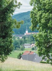 Blick durch Bäume und Wiesen auf Stift Rein in Gratwein-Straßengel mit bewaldeten Hügeln.