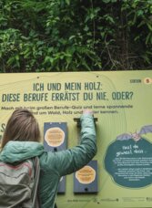 Person entdeckt eine Infotafel am Themenwaldweg Rein in den Wald in Gratwein-Straßengel.