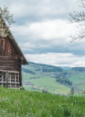 Alter Holzstadel bei Semriach mit Blick über grüne Wiesen und die hügelige Landschaft der Region Graz.