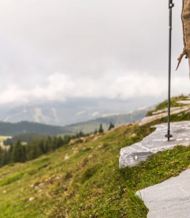 Hiking on Stubalm | © Graz Region | Die Abbilderei