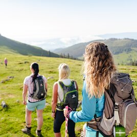 Wandern am Alten Almhaus