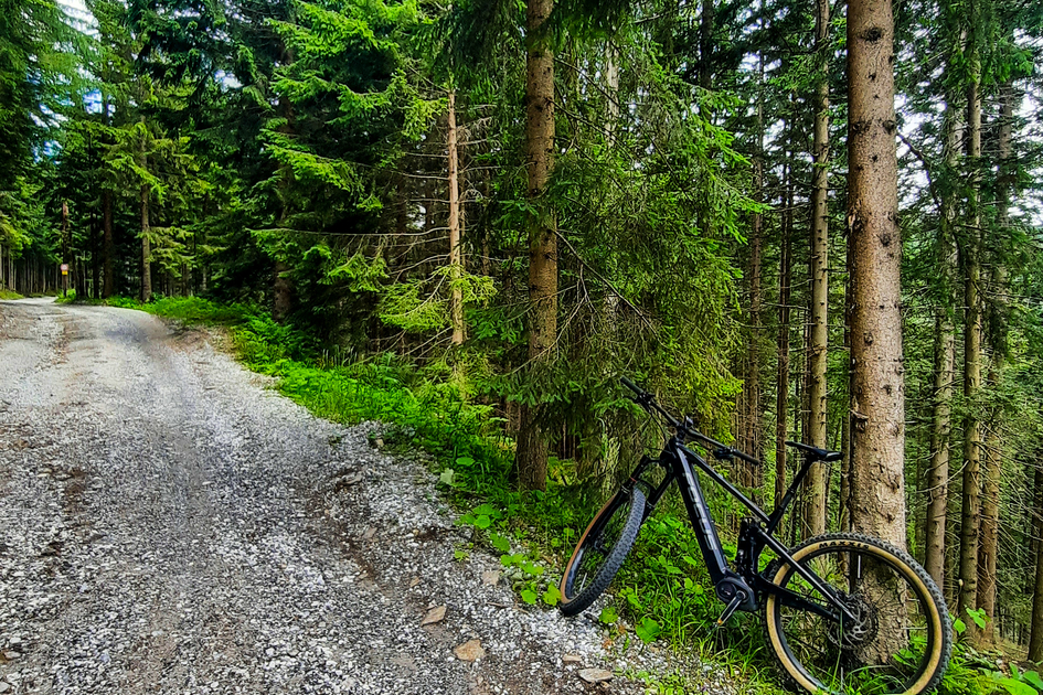 Radfahren auf der Terenbachalm | © Verena Menapace | Verena Menapace