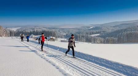 Cross-country skiing | © TV Region Graz | Tom Lamm