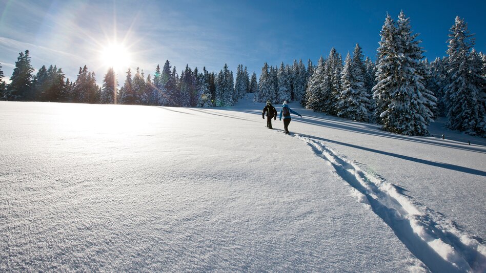 Snowshoeing | © TV Region Graz | Tom Lamm