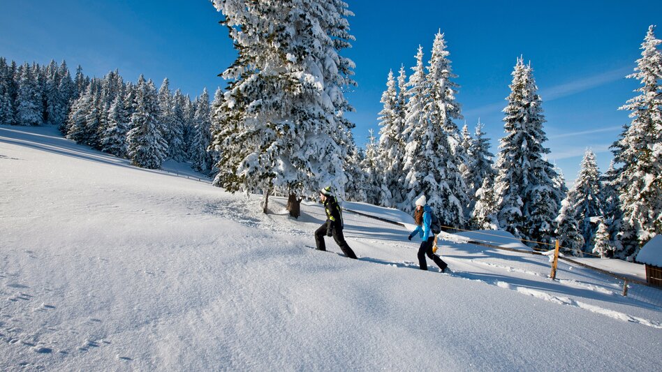 Snowshoeing | © TV Region Graz | Tom Lamm