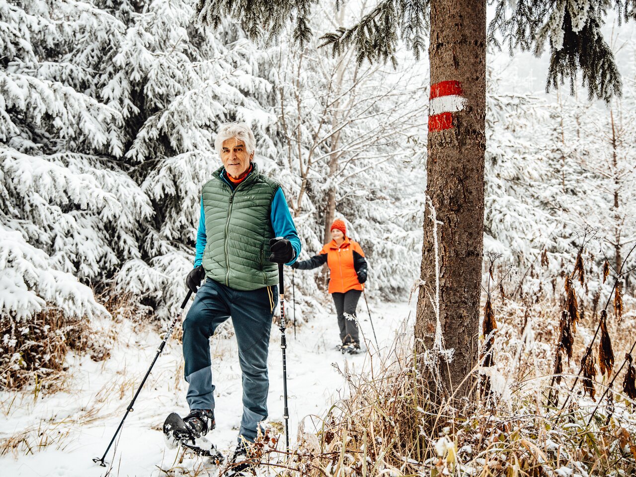Snowshoeing