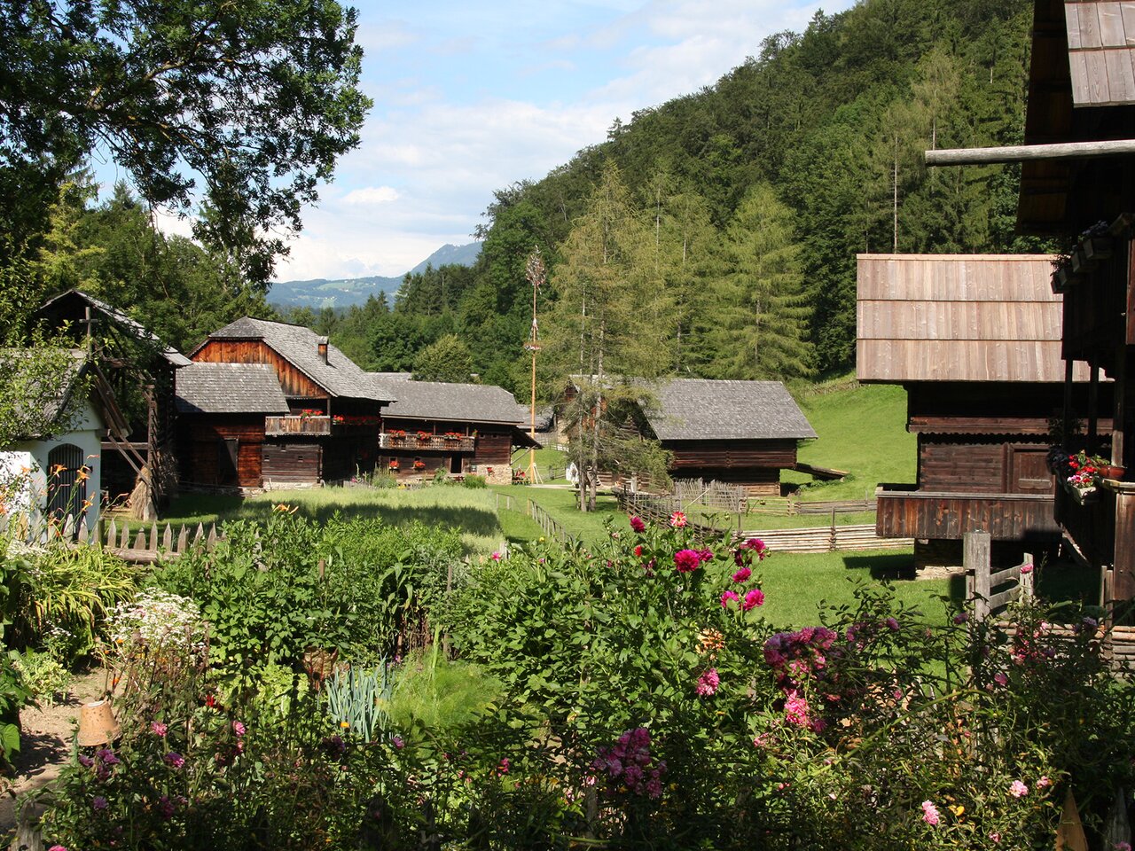 View of the Western Styria group at the Austrian Open-Air Museum Stübing with roses, cottage garden and geraniums on the houses