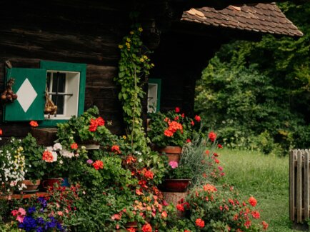 Bunt blühende Pflanzen vor einem rustikalen Holzhaus.