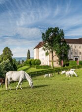 Lipizzanergestüt Piber