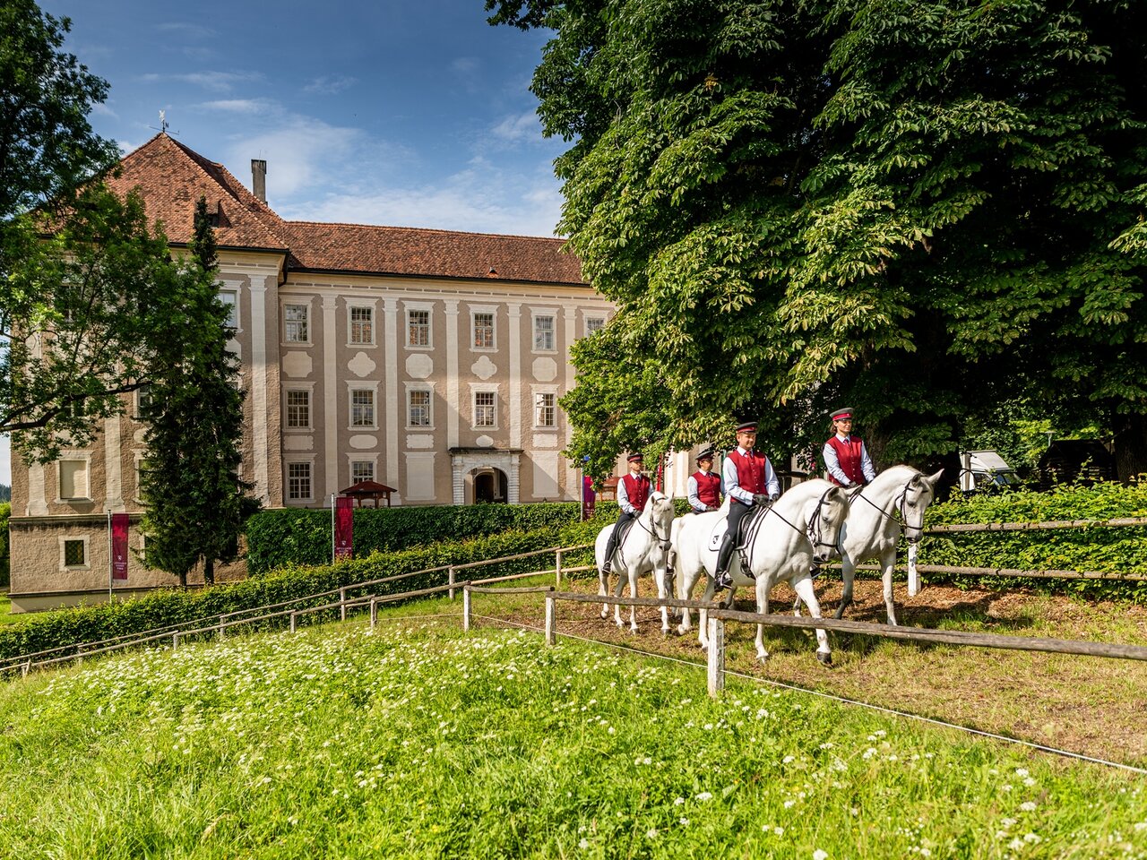 Lipizzaner Stud Farm Piber