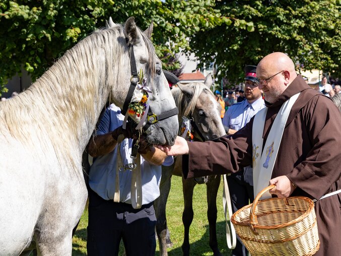 Bruder Elias segnet einen geschmückten Lipizzaner bei der traditionellen Pferdesegnung des Almabtriebs.