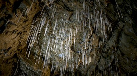 Tropfsteine in der Lurgrotte Peggau | © TV Region Graz | Tom Lamm | Region Graz