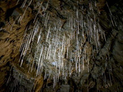 Stalactites hanging down from the ceiling in Lurgrotte Peggau