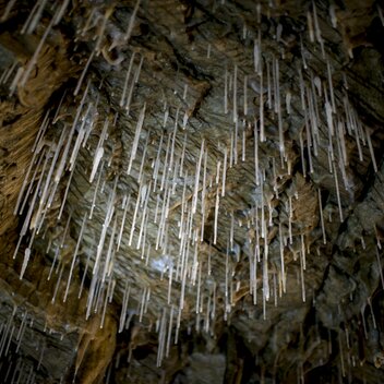 Tropfsteine in der Lurgrotte Peggau | © TV Region Graz | Tom Lamm | Region Graz