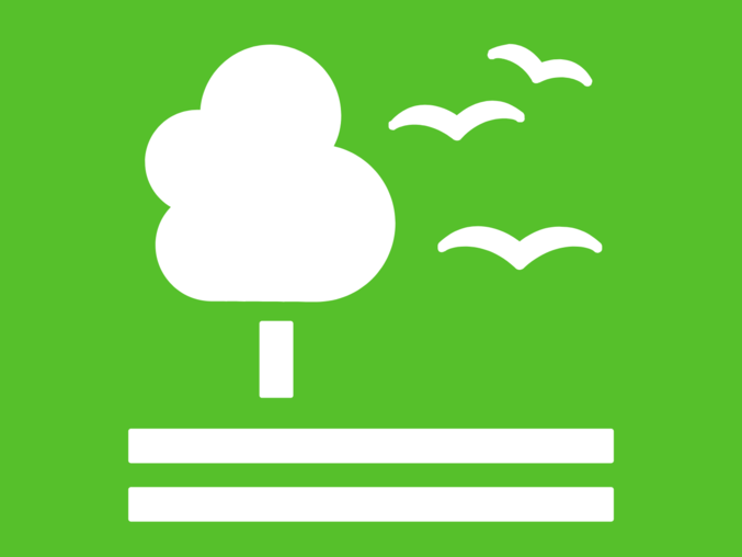 SDG 15