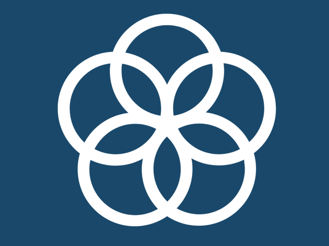 SDG 17