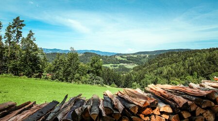 © Gasser @ Gasser Werbung | Werner Gasser