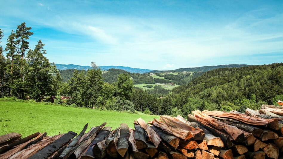Idyllischer Blick über Hintere Freßnitz