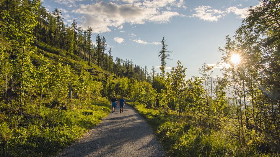Wanderung auf den Schöckl in St. Radegund