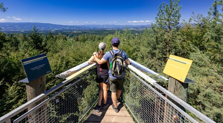 Aussichtsplatform West am Buchkogel | © Region Graz | Harry Schiffer