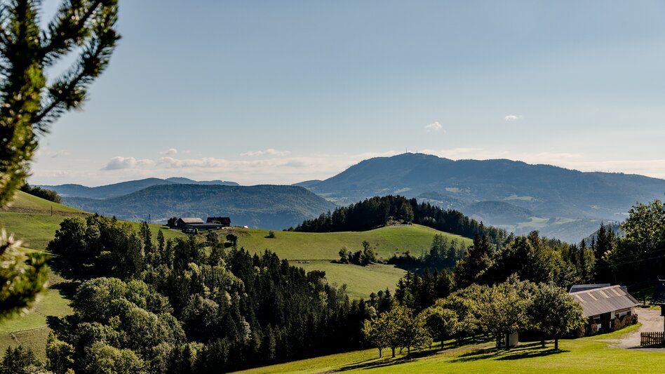 Blick ins Grüne beim Wandern in Übelbach