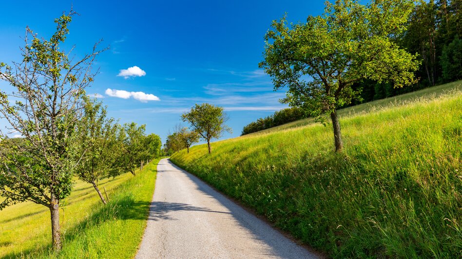 Wandern und Radfahren in Weinitzen zwischen grünen Wiesen und Wäldern