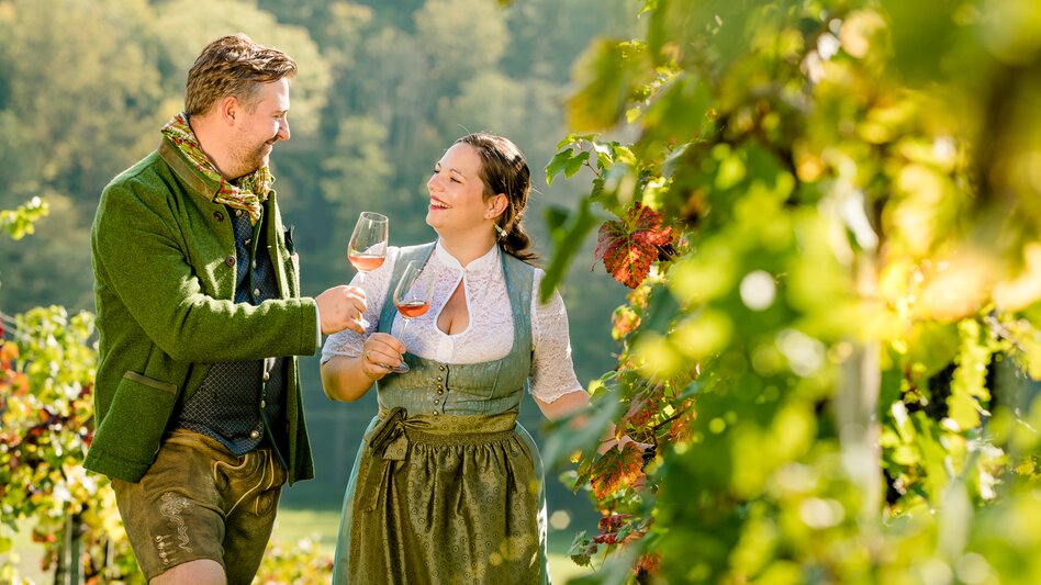 Weinbau in Weinitzen am Genusstreffpunkt Höfer