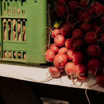 © Graz Region | studio draussen