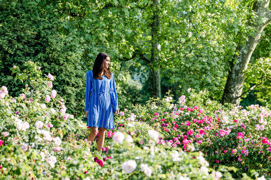 Rosengarten im Schlosspark Eggenberg in Graz | © Graz Tourismus | Mias Photoart