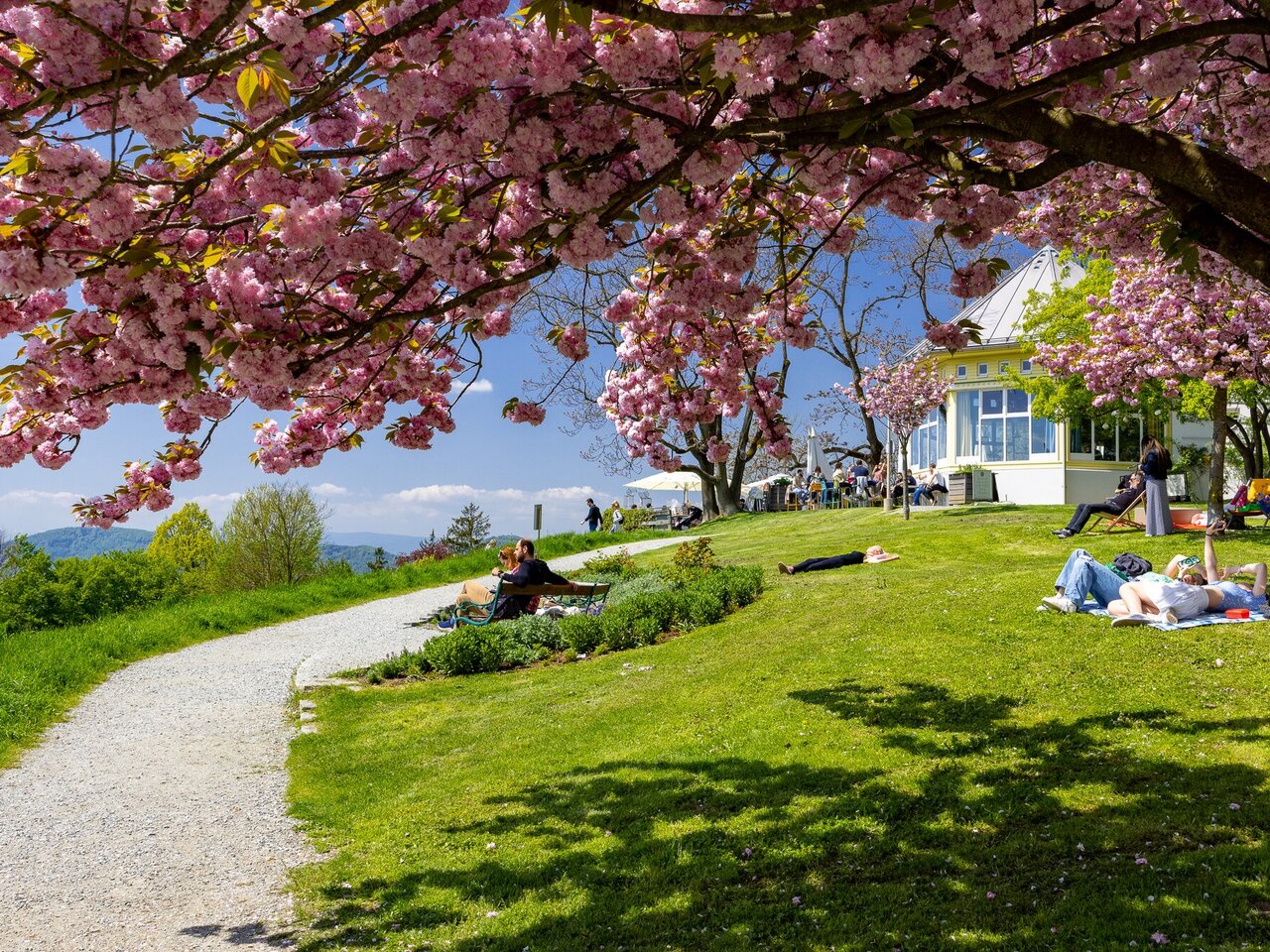Rosenhain in Graz mit blühenden Bäumen, Wiese und Café im Hintergrund