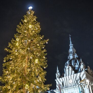der illuminierte Grazer Christbaum