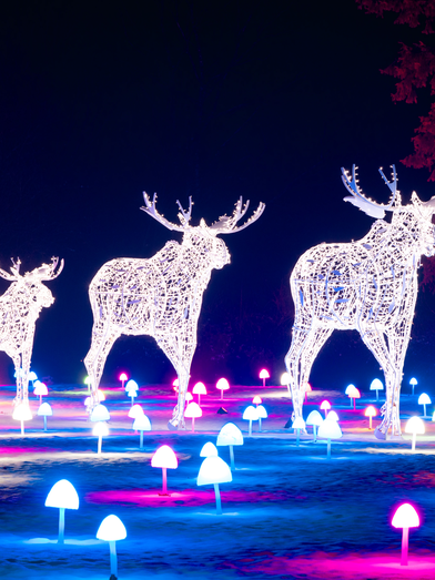 Lumagica Frohnleiten | © Region Graz | Harry Schiffer