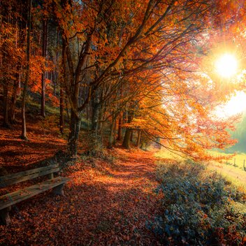 autumn in the Graz Region | Pater Martin