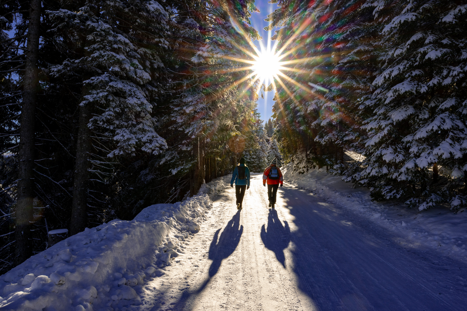 Unterwegs zum Alten Almhaus | © TV Region Graz | Harry Schiffer