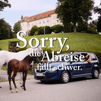Sujet Abreise Kampagne -Spot Lipizzaner | © Region Graz | Henx