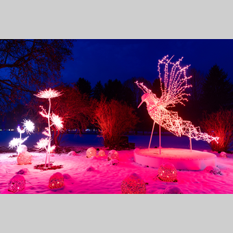 Lumagica Frohnleiten | © Region Graz | Harry Schiffer
