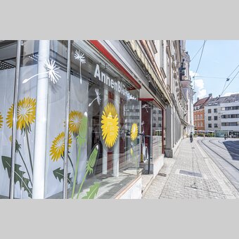 AnnenBlüte 2026 | © Stadt Graz | Foto Fischer