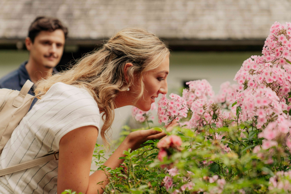 Blüten im Freilichtmuseum Stübing entdecken | © Region Graz | studio draussen